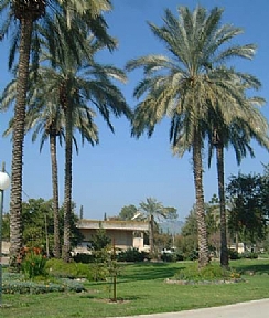 קיבוץ בית זרע