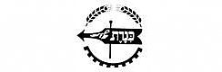 קבוצת כנרת