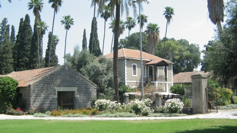 דגניה 3.JPG