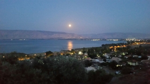 IMG-20150803-WA0001 כנרת מושבה.jpg