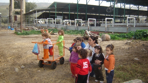 עין גב 2.JPG