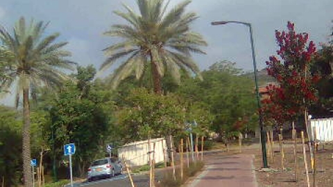 שדירת המאה קבוץ כנרת.jpeg